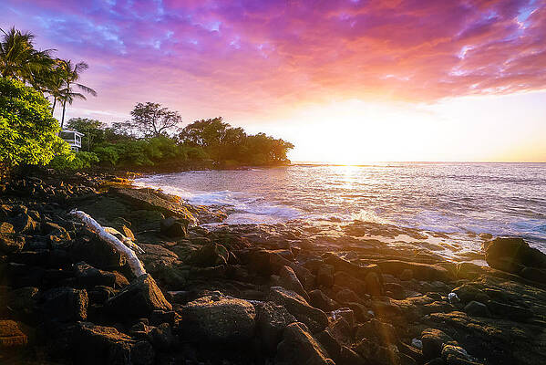 Wall Art featuring the photograph A New Horizon by Louis Raphael
