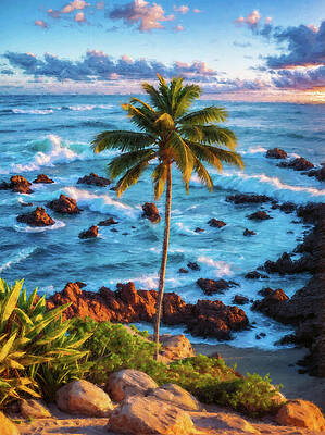 Nature Digital Art - A Palm Tree In The Golden Hour Light On The Coast With View To The Ocean - Digital Painting by Nicko Prints
