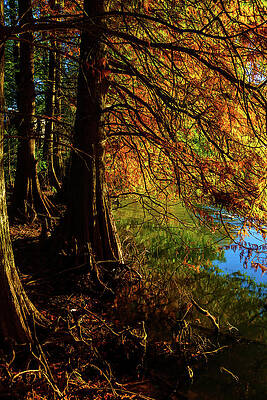 Atlanta Wall Art featuring the photograph A Perfect Autumn Day At The Lake - Atlanta, GA by Anthony Hightower