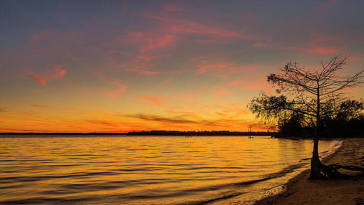 Sunset Photograph - A Pinkish Hue by David Fountain