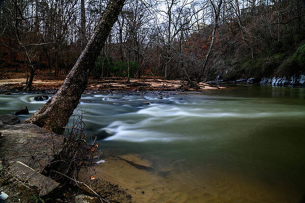 Vibrant Photograph - A Quiet Place By The Creek by Anthony Hightower