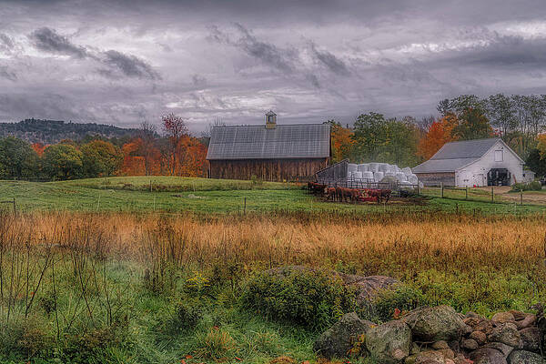 Wall Art featuring the photograph A Rainy Day At Remick Farm by Penny Polakoff