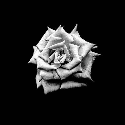 Black And White Wall Art featuring the photograph A Rose Alone by Bill and Linda Tiepelman