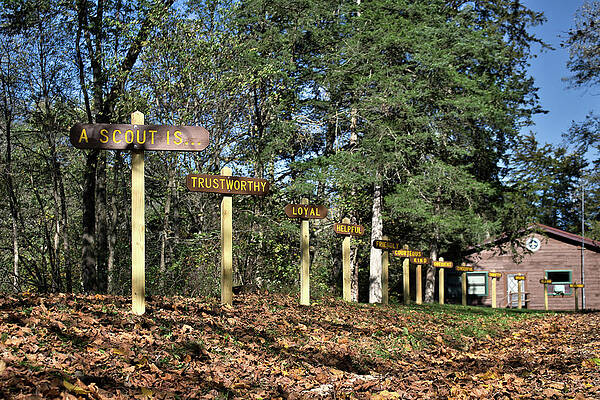 Photograph - A Scout Is by American Landscapes