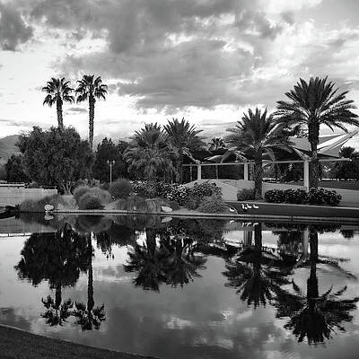 Wall Art featuring the photograph A Serene Desert Reflection by Bonnie Colgan