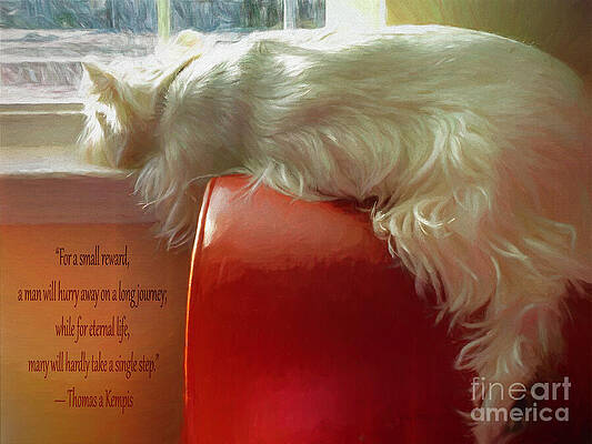 Summer Photograph - A Single Step by Macro Abundance