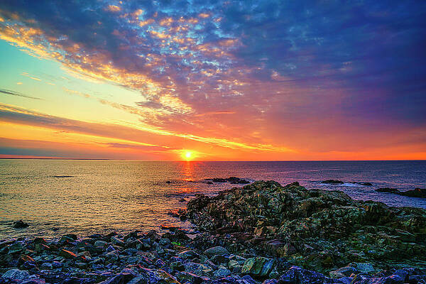 Wall Art featuring the photograph A Special Morning by Penny Polakoff