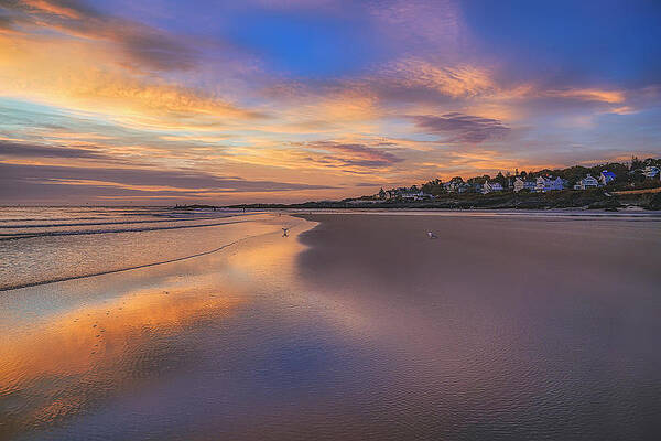 Wall Art featuring the photograph A Spectacular Morning by Penny Polakoff