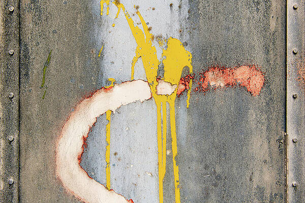 Urban Wall Art featuring the photograph A Spot Of Green by Chad Thunberg