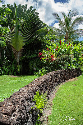 Nature Wall Art featuring the photograph A Spot On Waninee Street by Charlie Osborn