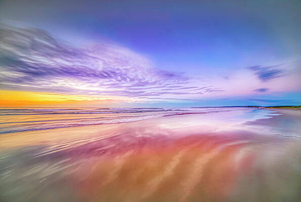 Wall Art featuring the photograph A Symphony Of Color by Penny Polakoff