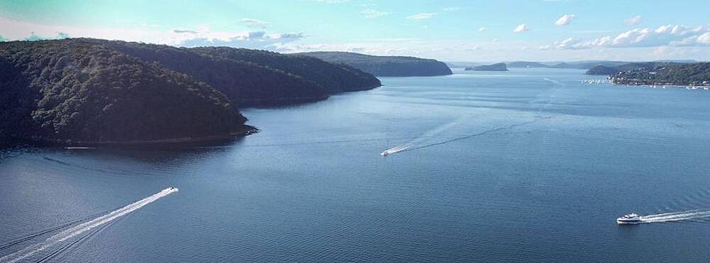 Natural Wall Art featuring the photograph A Three Way Conversation by Andre Petrov