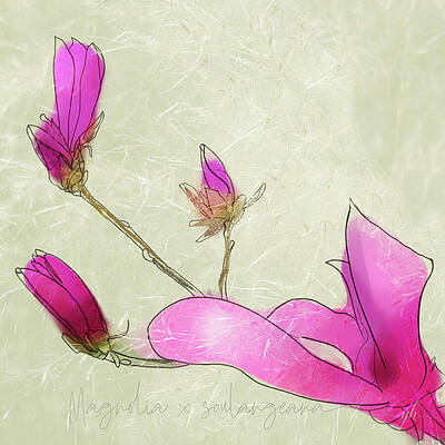 Flower Digital Art - A Touch Of Spring by Gina Harrison