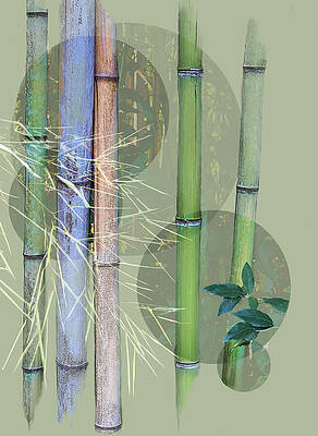 Digital Art - A Touch Of The East by Gina Harrison