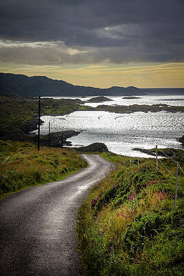 Reflection Wall Art featuring the photograph A Twist Into Dusk by Mark Callanan