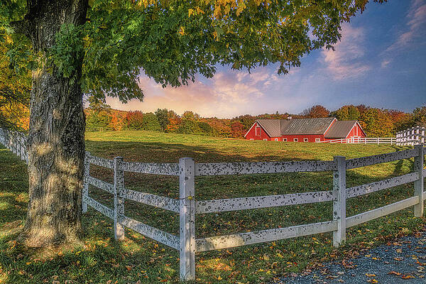 Wall Art featuring the photograph A Vermont Horse Farm by Penny Polakoff