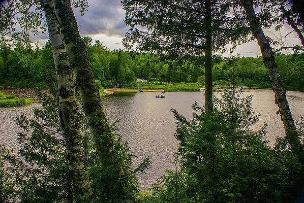 Natural Photograph - A View To The Lower Falls by Deb Beausoleil