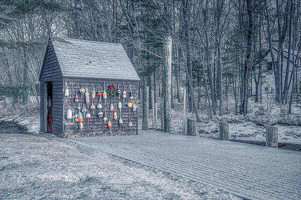 Wall Art featuring the photograph A Winter Morning On Paddy Creek Road by Penny Polakoff
