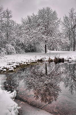 Reflection Photograph - A Winter Reflection by Dale Kauzlaric