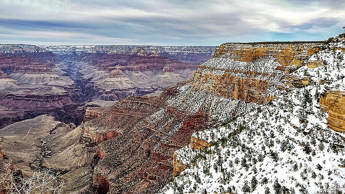 Cloud Wall Art featuring the photograph A Winter View Of The Grand Canyon From The South Rim by Ed Clark