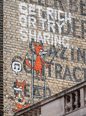 Photograph - A Wise Fox by Chad Thunberg