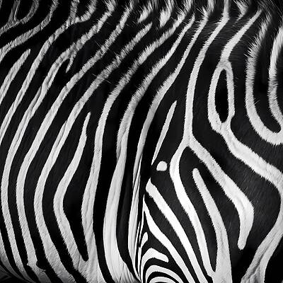 Geometric Wall Art featuring the digital art A Zebra Skin Type Pattern Of Stripes In Black And White by Andre Petrov
