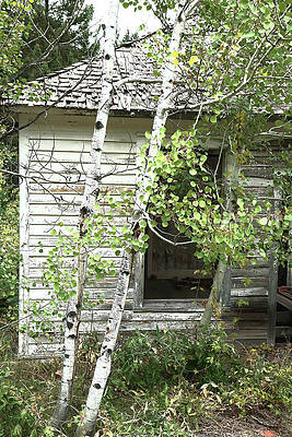 Wall Art featuring the photograph Abandoned 9863 by Rick Perkins