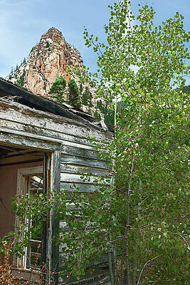 Wall Art featuring the photograph Abandoned 9864 by Rick Perkins