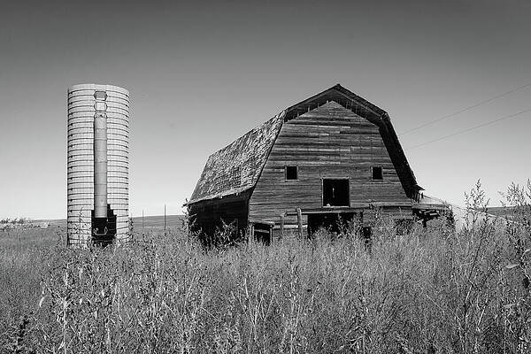 Vintage Photograph - Colorado - Abandoned Dream, Abandoned Farm by Robert Niemeier