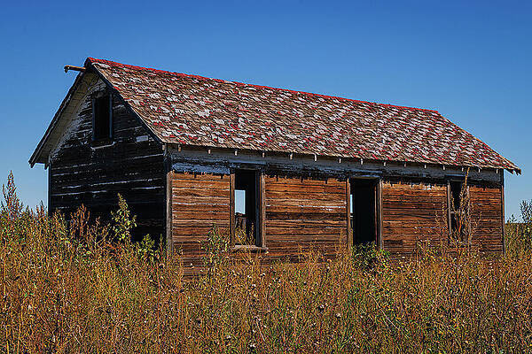 Vintage Photograph - Colorado - Abandoned Farmhouse by Robert Niemeier