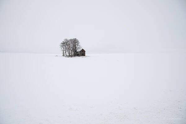 Wall Art featuring the photograph Abandoned Farmhouse Winter by Michael DeGrenier