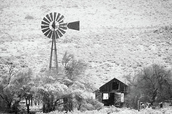 Rustic Wall Art featuring the photograph Abandoned Ranch by Mike Lee
