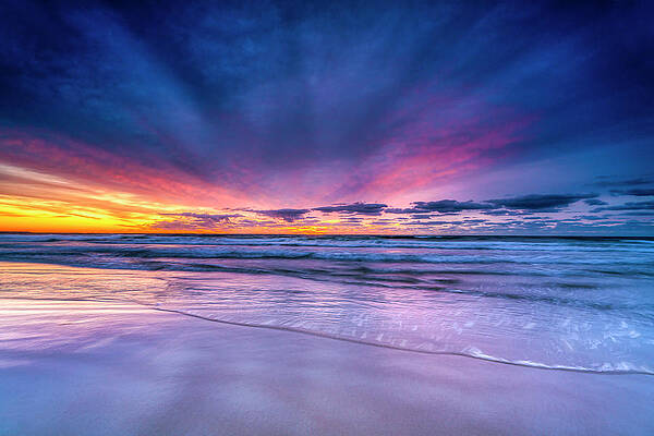 Wall Art featuring the photograph Ablaze With Brilliance by Penny Polakoff