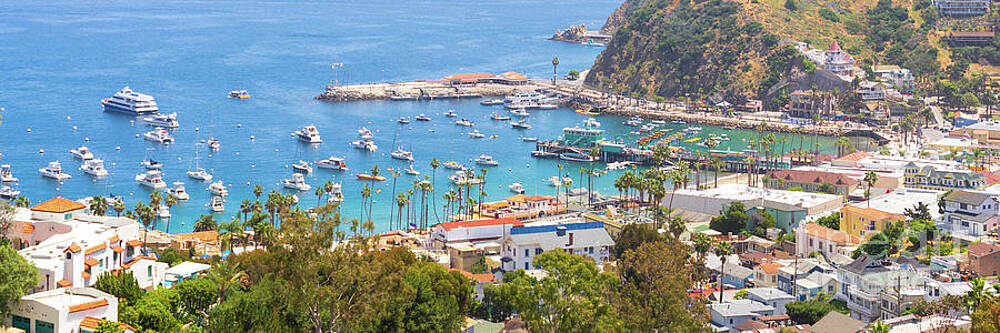 Wall Art featuring the photograph Above Catalina Island Avalon Bay Panorama Photo by Paul Velgos