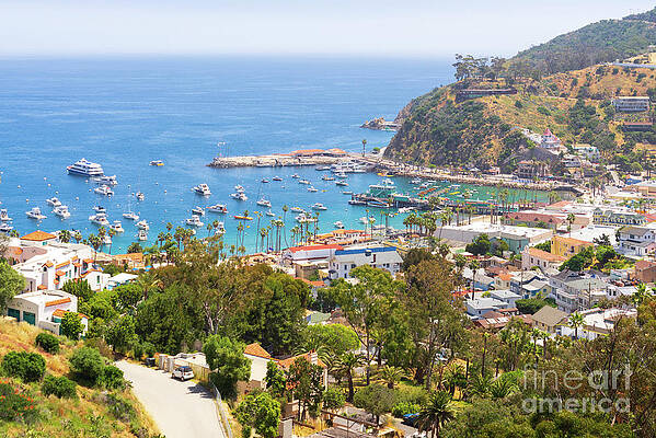 Wall Art featuring the photograph Above Catalina Island Avalon Bay Photo by Paul Velgos