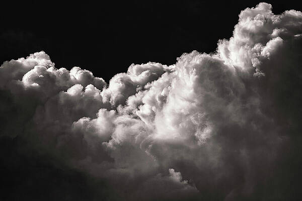 Sky Wall Art featuring the photograph Above In Monochrome by Rich Kovach