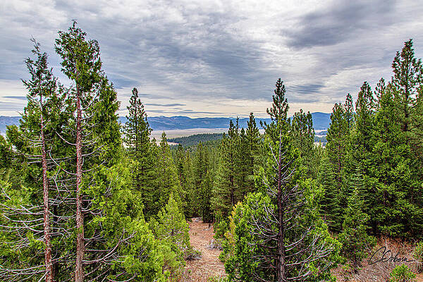 Sky Wall Art featuring the photograph Above Sierra Valley by Charlie Osborn