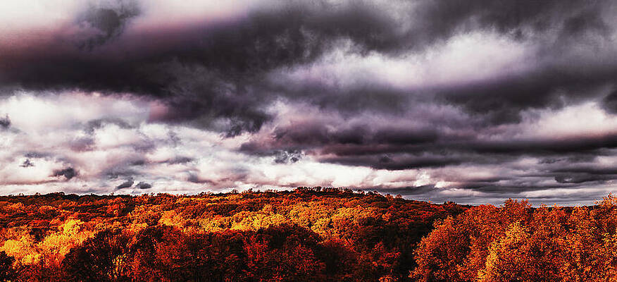 Sky Wall Art featuring the photograph Above The Canopy by Rich Kovach