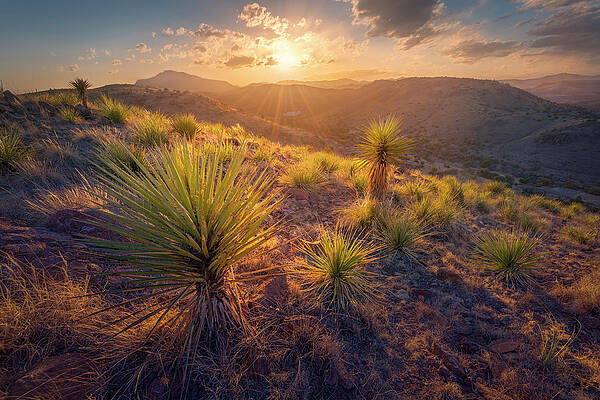 Wall Art featuring the photograph Above The Desert by Slow Fuse Photography