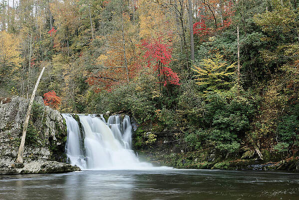 Fall Wall Art featuring the photograph Abrahms Falls In Autumn by Michael Collins
