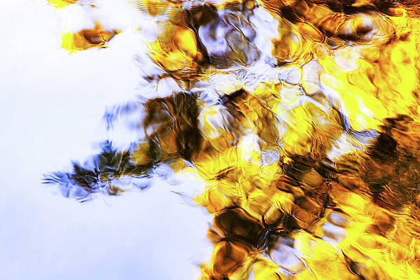 Reflections of Autumn Leaves Wall Art