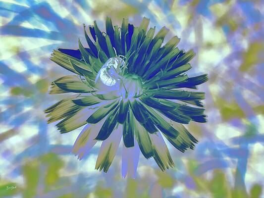 Abstract Bloom with Bee by Bruce Block