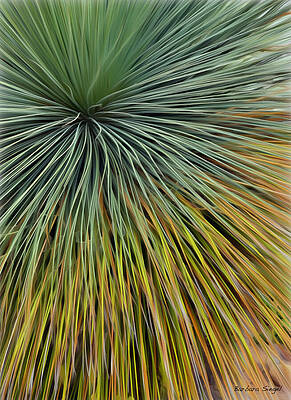 Abstract Plant Symmetry Wall Art