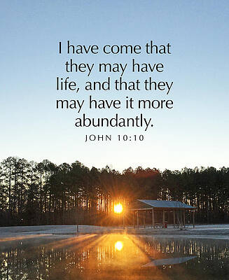 Beautiful Wall Art featuring the photograph Abundant Life by Greg Lane