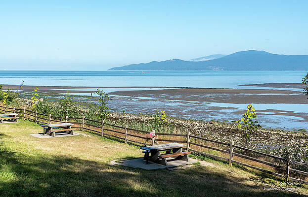 Ocean View Picnic Area Photograph