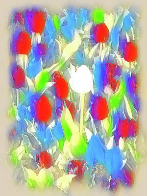 Background Photograph - Acceptance Rainbow by Gina Fitzhugh