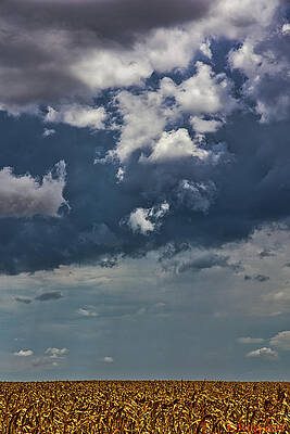 Sky Wall Art featuring the photograph Adam's Field by Rene Vasquez
