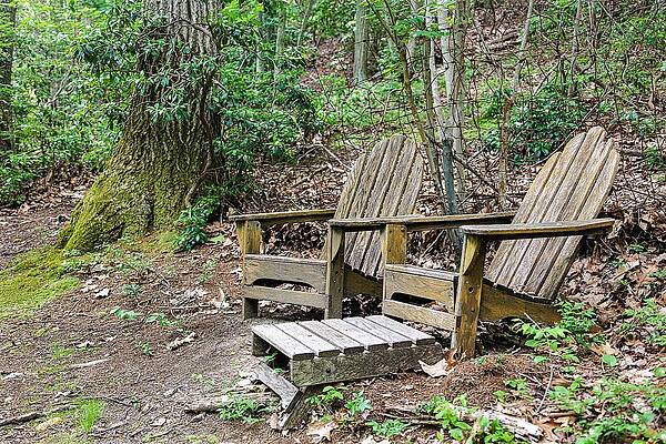 Wall Art featuring the photograph Adirondack Chairs by John Linnemeyer