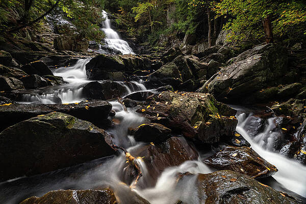 Fall Wall Art featuring the photograph Adirondack Retreat by Todd Wilkinson