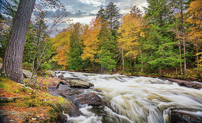 New York Photograph - Adirondacks Autumn At Buttermilk Falls 4 by Ron Long Ltd Photography